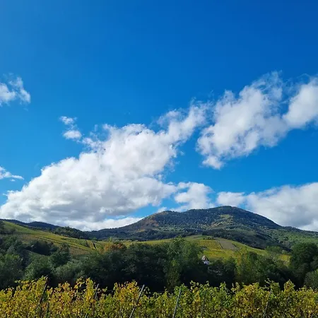 La Tete En L'air * Le Hohwald