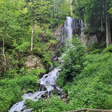 Vendégház La Tete En L'air