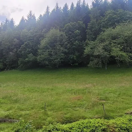La Tete En L'air Maison d'hôtes *