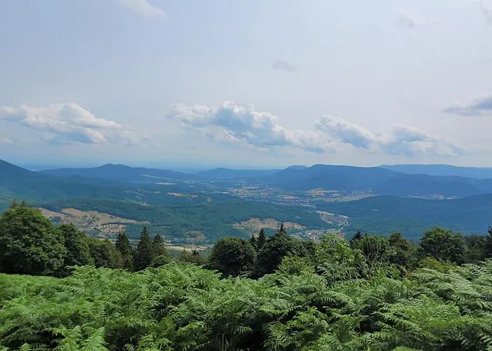 Gasthuis La Tete En L'air