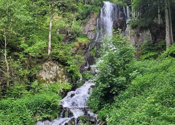 Gasthuis La Tete En L'air